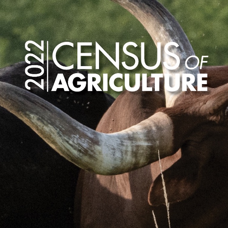 USDA still collecting responses for 2022 Census of Agriculture